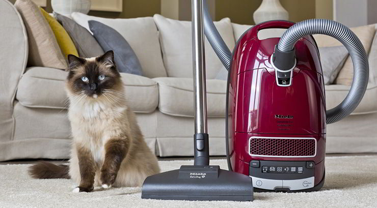 como limpiar pelos de tu mascota miele