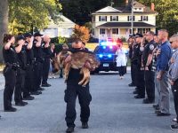despedida perro policia