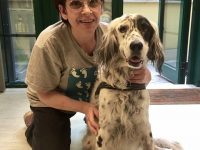 baja para cuidar perro enfermo