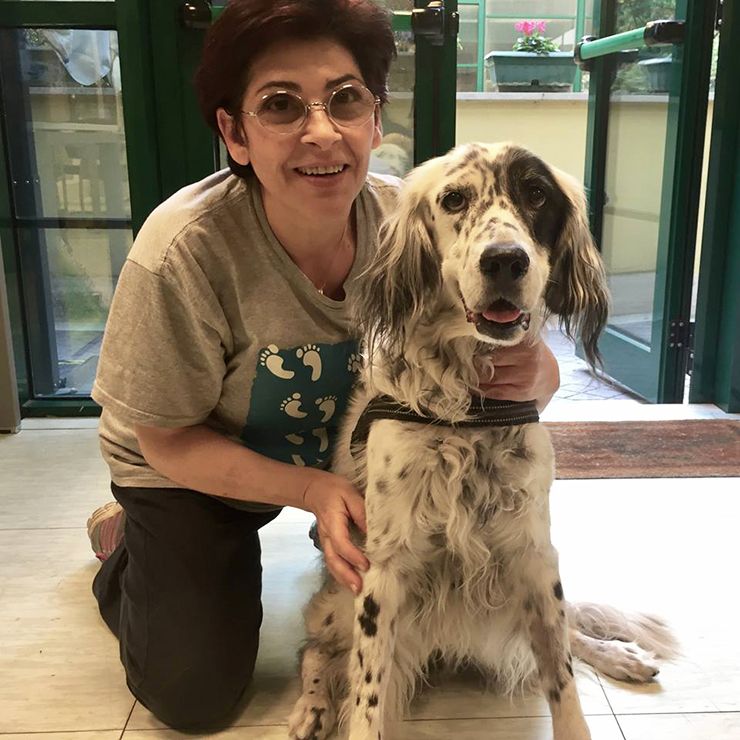 baja para cuidar perro enfermo