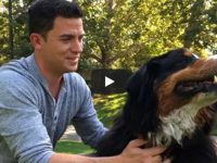 perro sobrevive incendios california