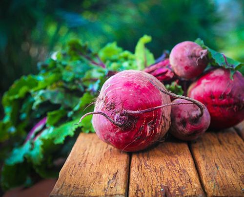 comida natural para conejos
