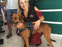 adoptan perro que esperaba 4 meses en el hospital