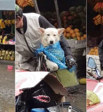 hombre protege a su perro de la