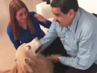 nicolas maduro y su perro yako