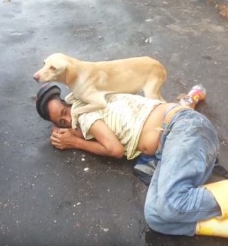 perro cuida a dueño ebrio