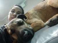 perro salva a niños de una serpiente