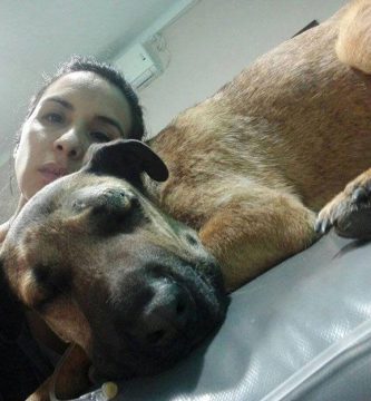 perro salva a niños de una serpiente