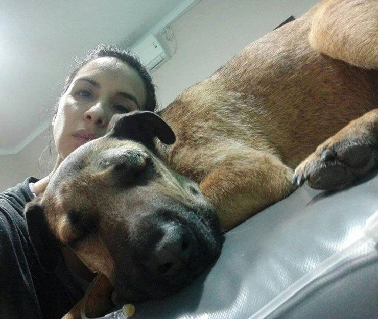 perro salva a niños de una serpiente