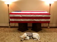 perro de george bush muerto junto ataud