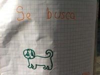 niña hace un cartel para encontrar su perro perdido