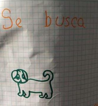 niña hace un cartel para encontrar su perro perdido