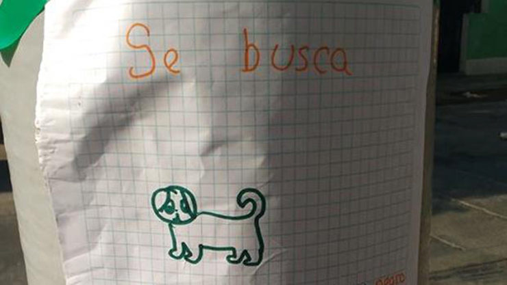 niña hace un cartel para encontrar su perro perdido