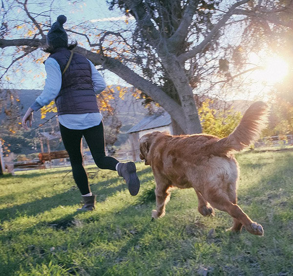 como tranquilizar a un perro