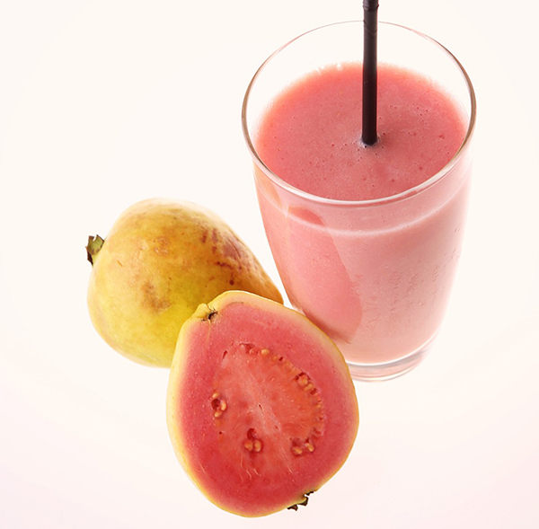 fruta guayaba para perros 