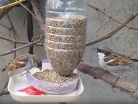 comedero para pájaros