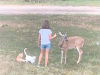 niña habla con los animales