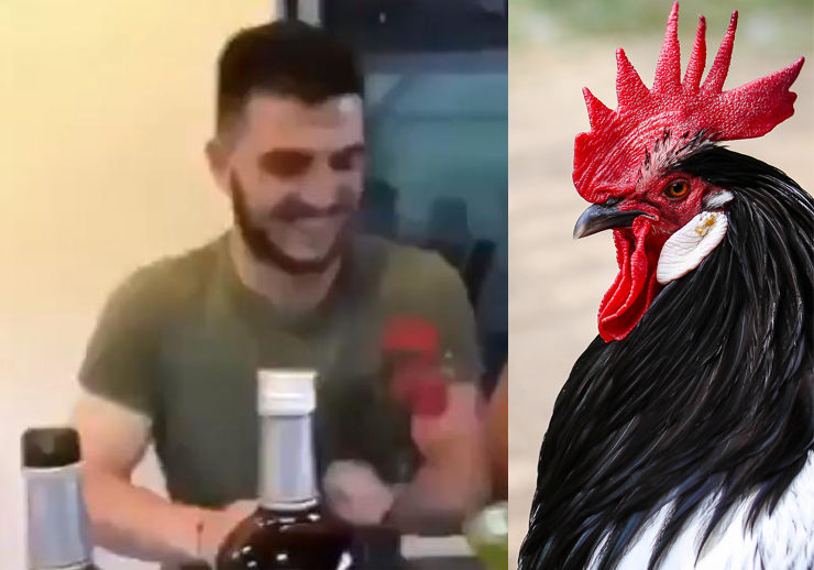 arranca cabeza gallo mordisco