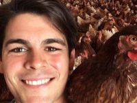 gallinas camperas granja