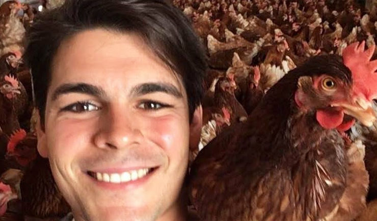 gallinas camperas granja