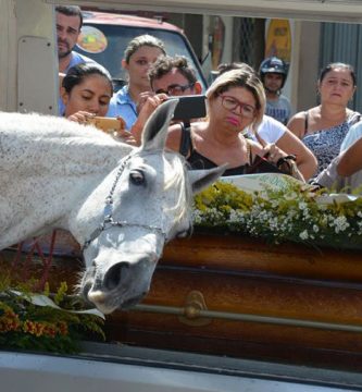 caballo en funeral de su dueño