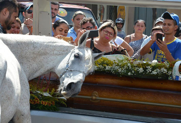 caballo en funeral de su dueño