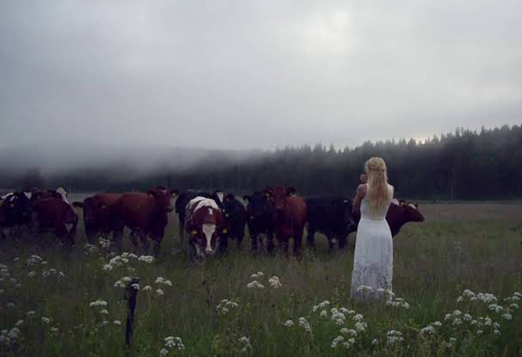 kulning canto nórdico