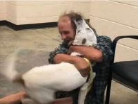 hombre sin hogar se reencuentra con su perro