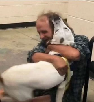 hombre sin hogar se reencuentra con su perro