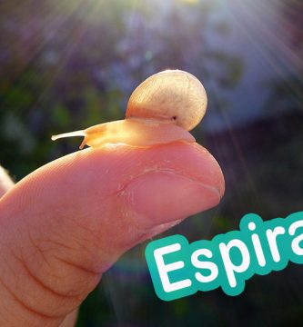 nombres para caracoles