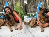 perro muerde chica selfie