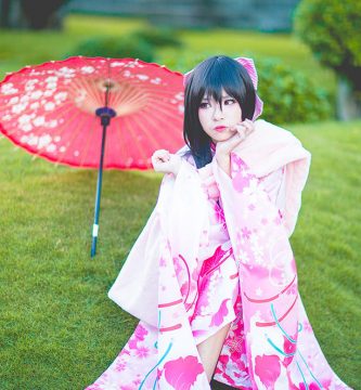 instrumento musical japón piel de gato