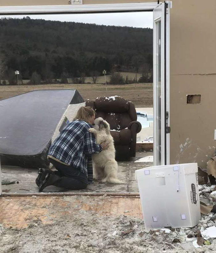 perro sobrevive a tornado