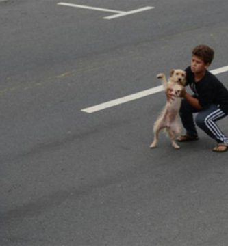 niño salva perro atropellado
