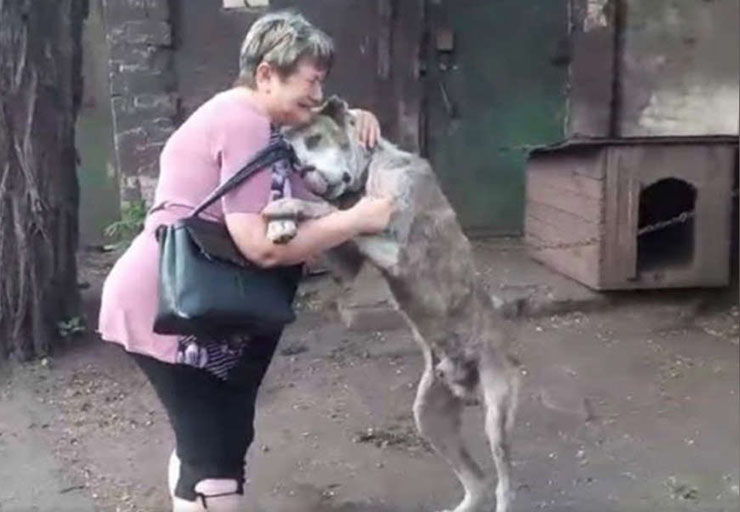 encuentra perro perdido 2 años