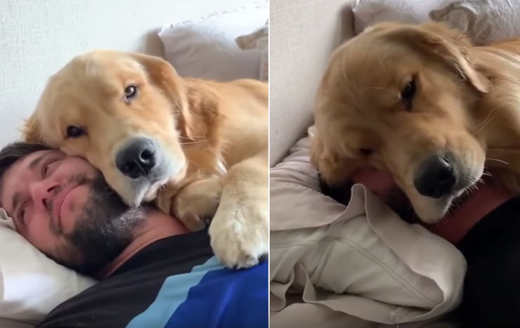 hombrea duerme con perro golden abrazado