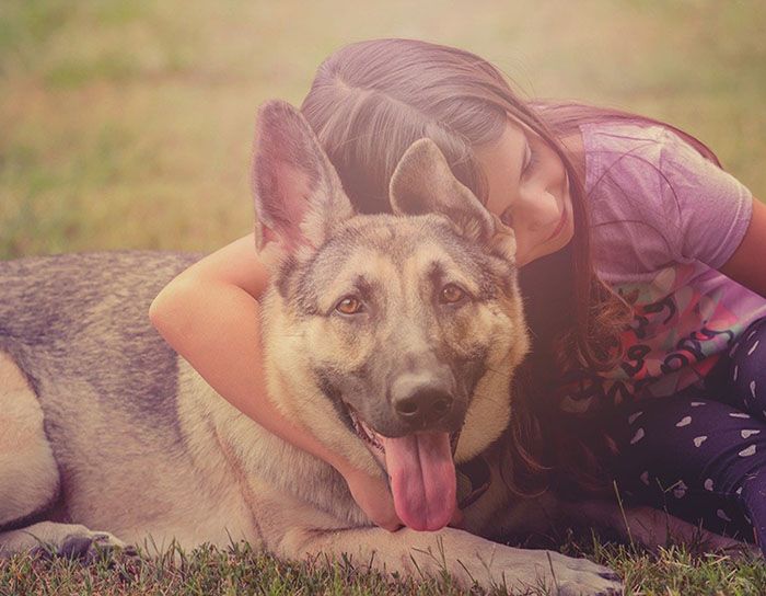muerte de mi perro psicología