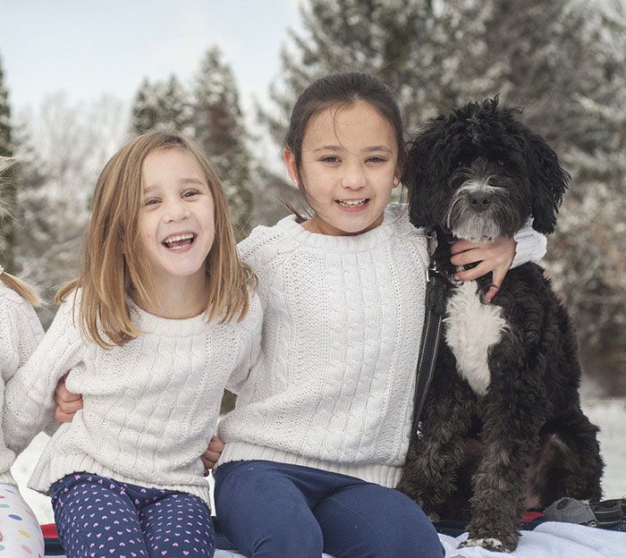 muerte de una mascota