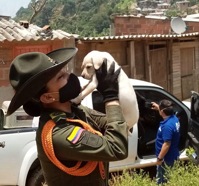 policia rescata perros coronavirus