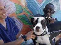 veterinario gratis para gente pobre