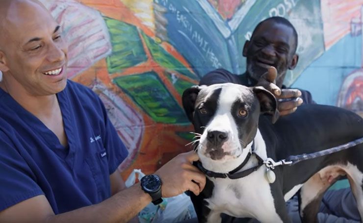 veterinario gratis para gente pobre