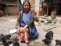 anciana alimenta perros no tiene para comer cusco