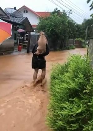 hombre rescata a perro de las inundaciones