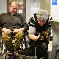 perro paralítico adoptado por 5 vez