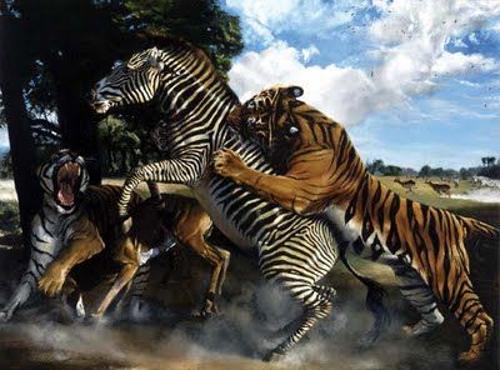 dibujo cazando cebra