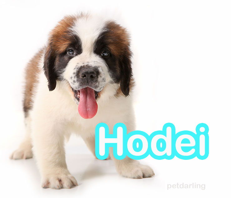 nombres de perros en euskera