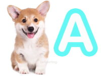 nombres para perros con a