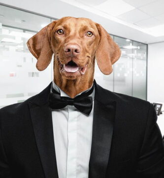 nombres elegantes para perros