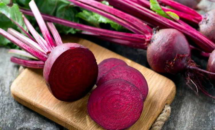 los perros pueden comer remolacha