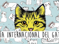 dia de internacional del gato